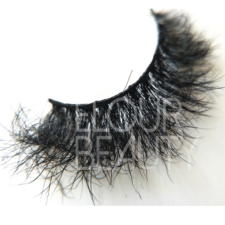 horse strip eyellashes vendors.jpg